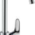 Hansgrohe Focus M41 31820000