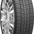 Nexen Roadian HP 255/30 R22 95V