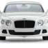 Rastar Bentley Continental GT 1:14