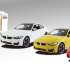 Rastar BMW M4 Coupe 1:14