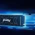 Kingston Fury Renegade SFYRS/1000G 1 ТБ без радиатора