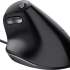 Trust Bayo Ergo Wired Mouse