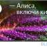 Телевизор Digma DM-LED43UBB31 43&quot; LED 4K Ultra HD