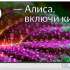 Телевизор SunWind SUN-LED55XU401 55&quot; LED 4K Ultra HD