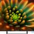 Телевизор TopDevice TDTV43BS05U_BK 43&quot; 4K Ultra HD