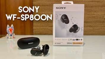 Sony WF-SP800N Truly Wireless Noise-Cancelling Headphones Unboxing and First Look