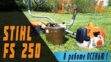 Бензотриммер Stihl fs 250. Покос осенней травы.