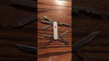 Victorinox Alox Minichamp Silver Review