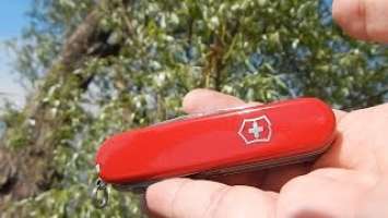 Мой любимый нож на лето - Victorinox Huntsman