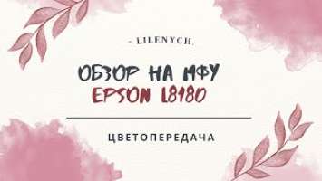 Проверка цветопередачи МФУ Epson L8180