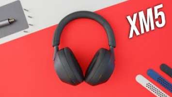 Sony WH-1000XM5 1 Month Later: Almost Worth It?