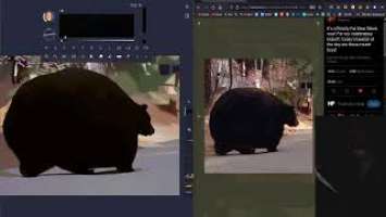 Testing Huion Kamvas 16 | Wide Bear |  HEAVYPAINT 227