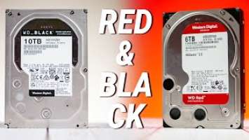 Обзор дисков WD Red 6TB WD60EFAX и WD Black Performance 10TB WD101FZBX  |  Root Nation