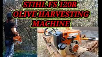 STIHL FS 120 R Olive Harvesting Machine|Power Tools|that'slifeandadventures #farmlife #viral #ofw