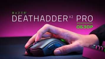 Обзор Razer DeathAdder V2 PRO