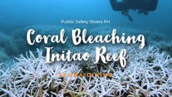 Coral Bleaching I GoPro HERO10 Black