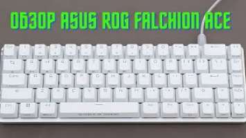 Обзор ASUS ROG Falchion Ace