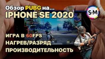 Обзор Apple Iphone SE 2 (SE 2020) в PUBG Mobile ⚠️ПЕРЕЗАЛИВ В 60 FPS⚠️