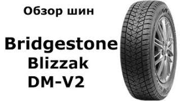 ❄ Bridgestone Blizzak DM V2 - обзор зимних шин. Замер ДЮРОМЕТРОМ