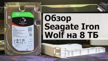 Что нам стоит RAID построить. 2X HDD Seagate Iron Wolf ST8000VN0022