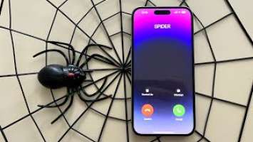 Apple iPhone 14 Pro Max Black Spider Incoming Call