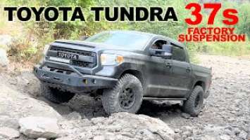 Tundra Off-Roading on 37 Inch Tires BFGoodrich KM3 37x12.50r17 Mud-Terrain on Stock Suspension!!!