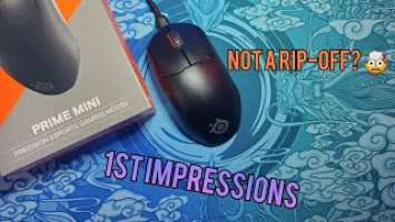 Now THIS is what we expect from Steelseries  | Steelseries Prime Mini UNBOXING