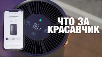 ОЧИСТИТ ВОЗДУХ ЗА 6 МИНУТ! Стильный и умный очиститель воздуха Smartmi Air Purifier P1 | Обзор