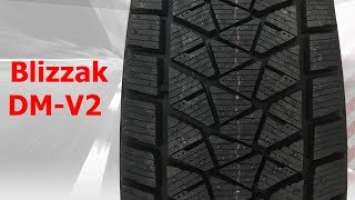 Bridgestone Blizzak DM-V2 - Фото видео обзор Отзывы