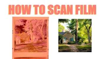 How to Scan Film with Epson V850 Pro Flatbed Scanner and Negative Lab Pro