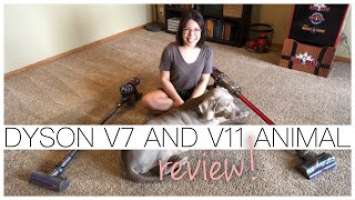 Reviewing the Dyson V7 Animal and Dyson V11 Animal!