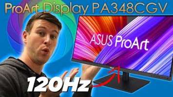 My New Favorite Monitor | Asus ProArt Display PA348CGV