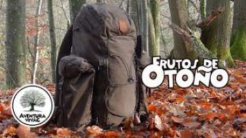 FRUTOS DE OTOÑO - Cascanueces improvisado