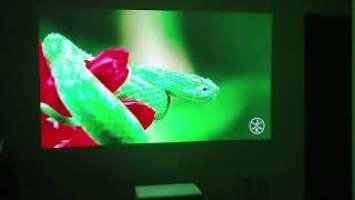 Samsung Premiere LSP7T Review - Triple Laser 4K UST Projector Picture Modes on Grandview Dynamique