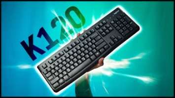 Best Keyboard Under $20? (Logitech K120 Review)