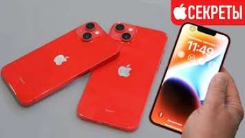 14 скрытых фишек iPhone 14, iPhone 14 Plus в руках! Полный обзор и тест Apple iPhone 14 Pro Max