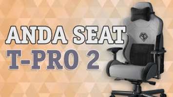 Крісло ігрове Anda Seat T-Pro 2 Grey Black Size XL