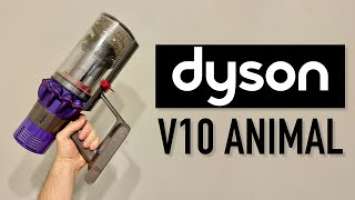 Is It Worth It To Spend $500 On A Vacuum | Dyson V10 Animal Review