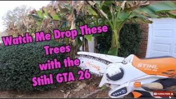 Cutting is a Breeze with the Stihl GTA 26