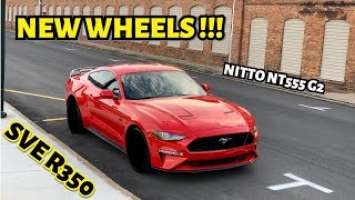 SVE R350 Wheels wrapped in Nitto NT555 G2's - I finally got some new wheels!!!!