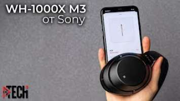 Лучшие наушники с активным шумодавом? Полный обзор Sony WH-1000X M3 и опыт использования