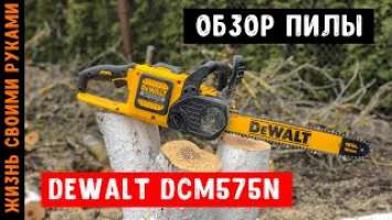 Цепная пила DeWALT DCM575N | Обзор и тест