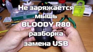 Не заряжается мышь BLOODY R80, разборка, замена USB