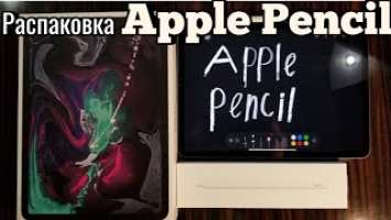 Распаковка Apple Pencil - 2 поколения на iPad Pro 2018 года.