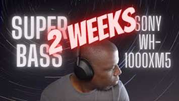 Sony WH-1000XM5 Headphones | 2 WEEKS with the BEST Headphones