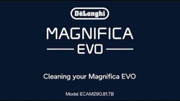 Magnifica Evo | Care and Maintenance