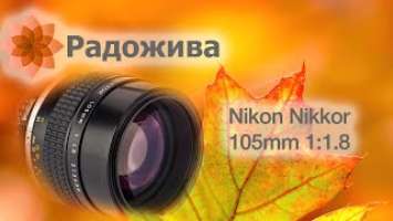 Осенняя тематика на Nikon Nikkor 105mm 1:1.8. Примеры фотографий. Краткий обзор. ξ037