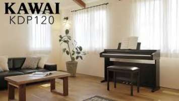 Kawai KDP120 Digital Piano Introduction | Kawai KDP Series