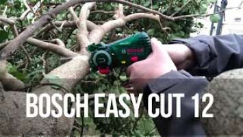 Putting the Bosch Easy Cut 12 to the test #Bosch Mini Cut 12