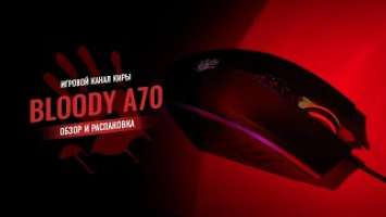 BLOODY A70 — КАЧЕСТВО ПО ДОСТУПНОЙ ЦЕНЕ